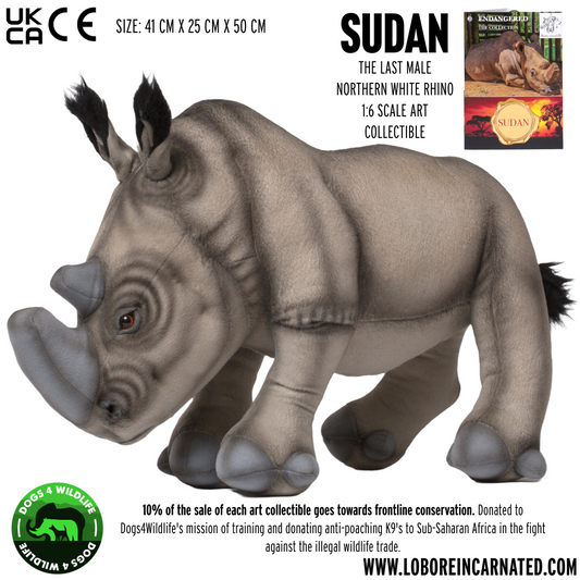 SUDAN The last male Northern White Rhino