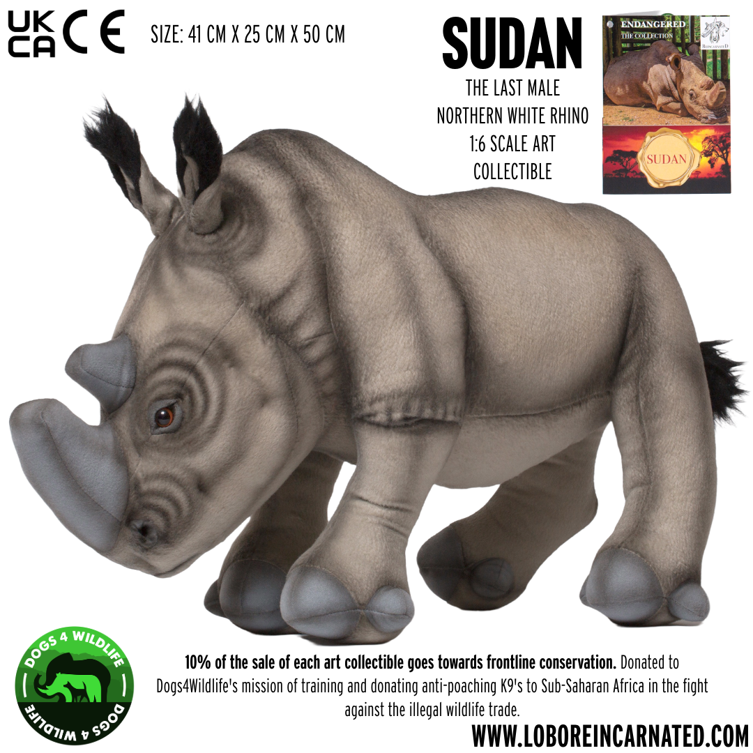 SUDAN The last male Northern White Rhino